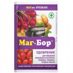 magbor-100g-500x500