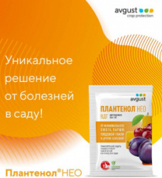 9769d775a25d958fd79ba592b810dba5